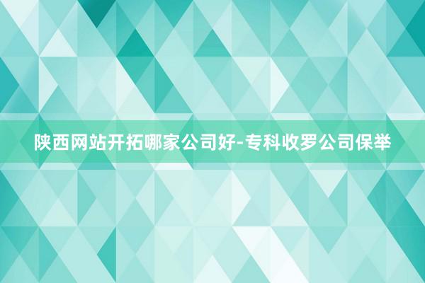 陕西网站开拓哪家公司好-专科收罗公司保举