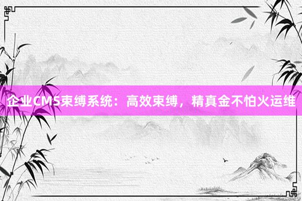 企业CMS束缚系统：高效束缚，精真金不怕火运维
