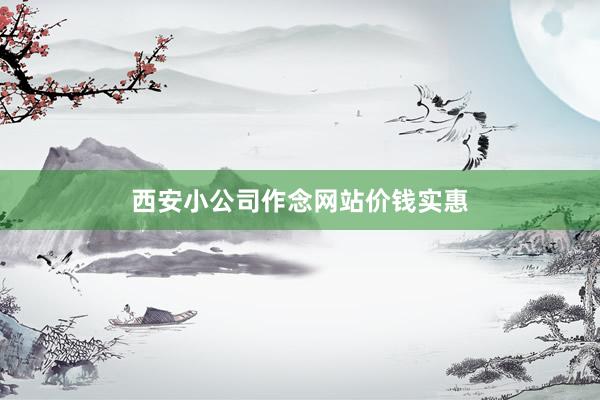 西安小公司作念网站价钱实惠