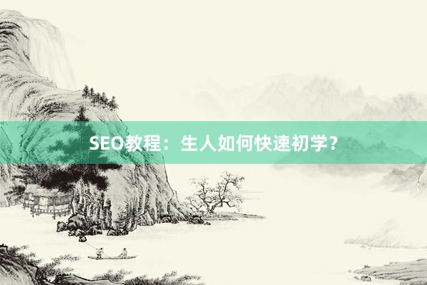 SEO教程：生人如何快速初学？