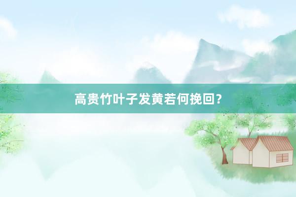 高贵竹叶子发黄若何挽回？